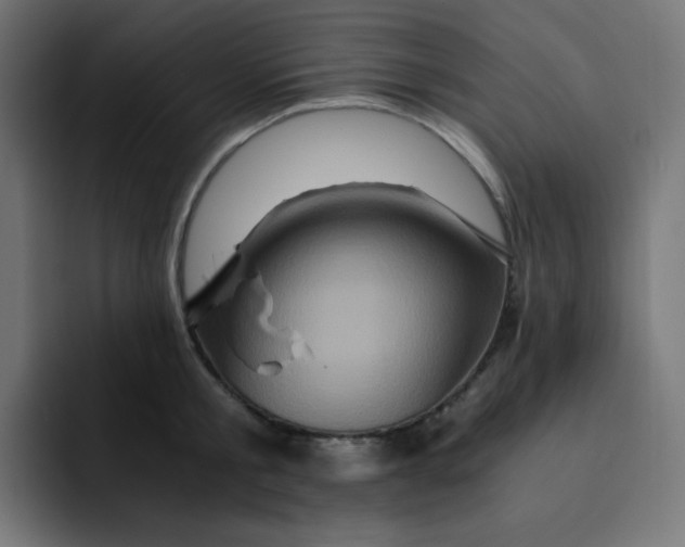 X0000092020805200710041042