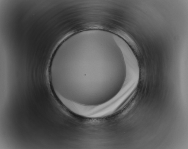 X0000092020806200710041042