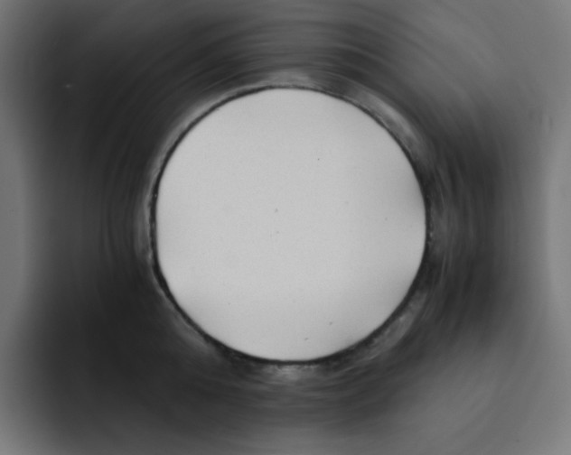 X0000092020808200710041042