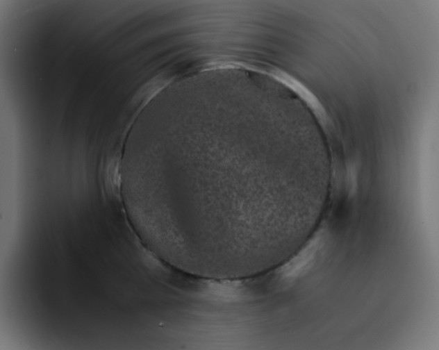 X0000092020809200710041042