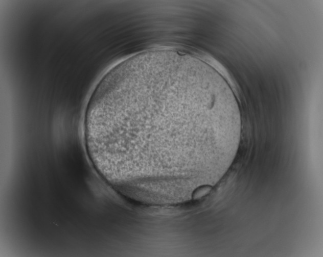 X0000092020811200710041042