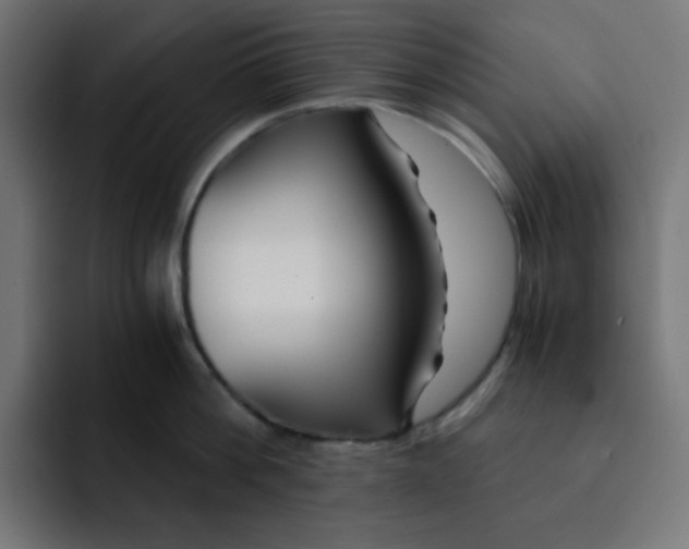 X0000092020812200710041042