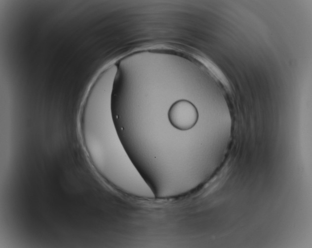 X0000092020813200710041042