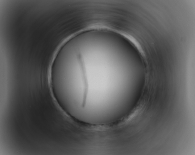 X0000092020815200710041042