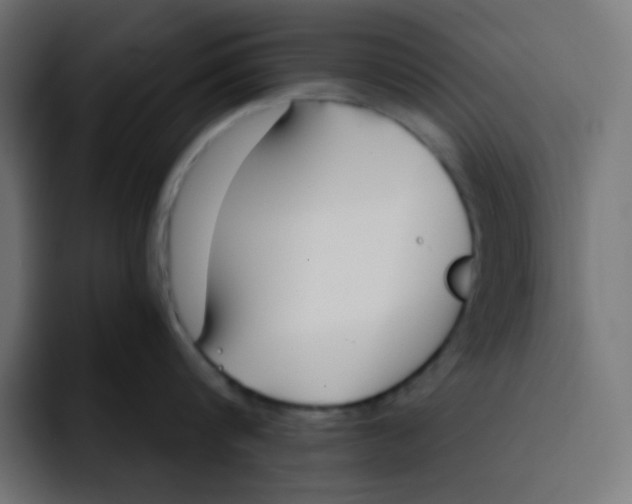 X0000092020816200710041042