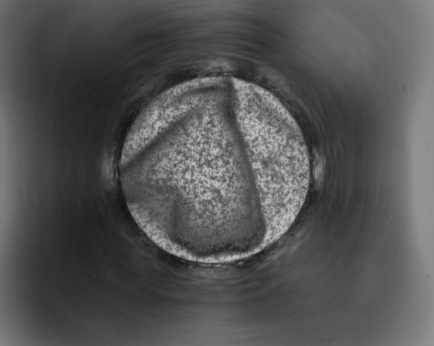 X0000092020819200710041042