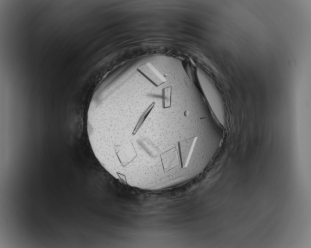 X0000092020821200710041042