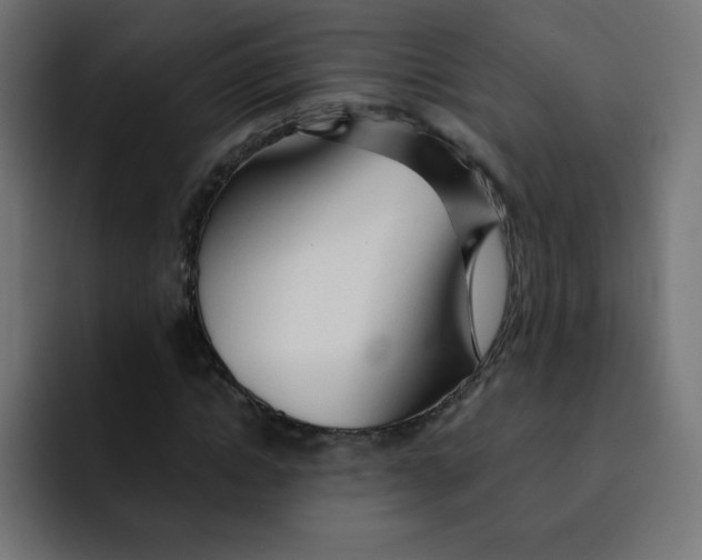 X0000092020822200710041042