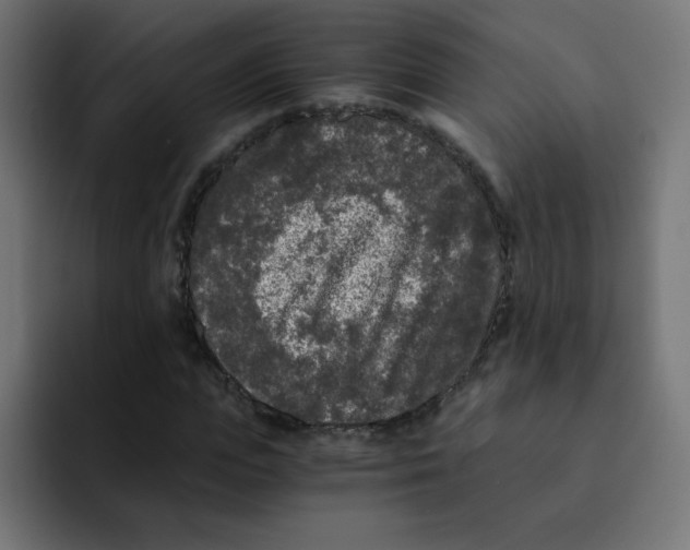 X0000092020823200710041042