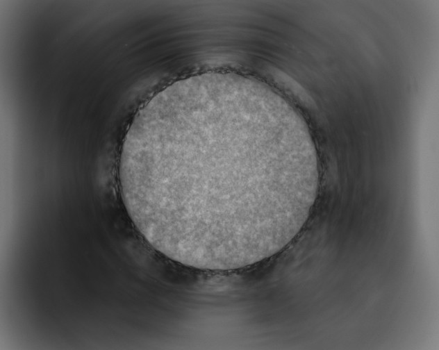 X0000092020824200710041042