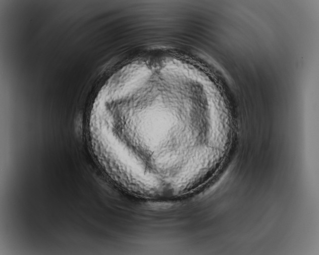 X0000092020825200710041042