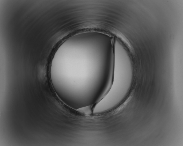 X0000092020826200710041042