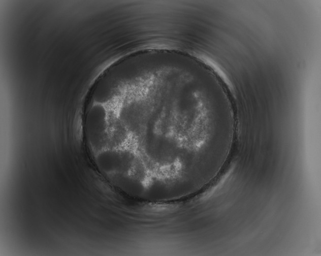 X0000092020829200710041042