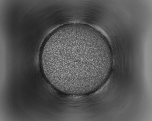 X0000092020831200710041042