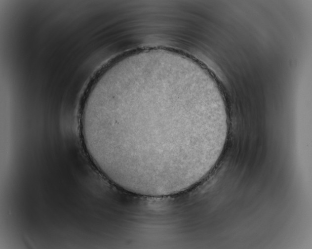 X0000092020832200710041042