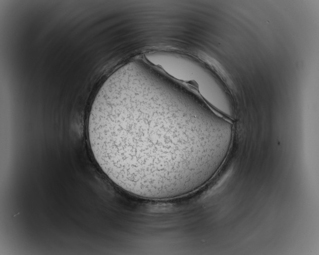 X0000092020833200710041042