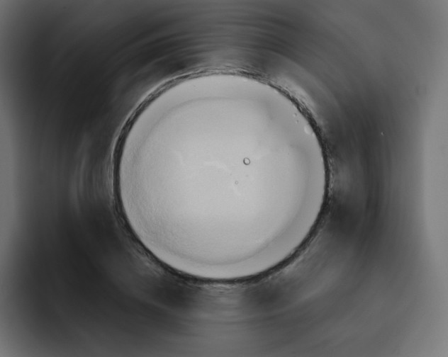 X0000092020836200710041042