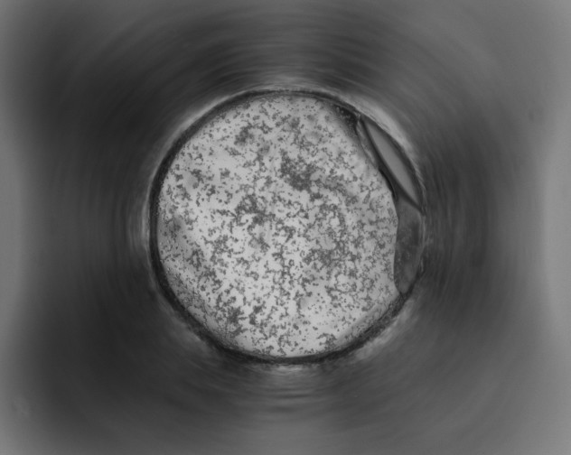 X0000092020839200710041042