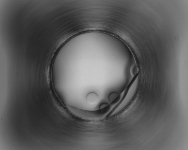 X0000092020842200710041042