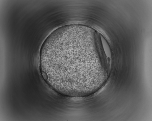 X0000092020844200710041042