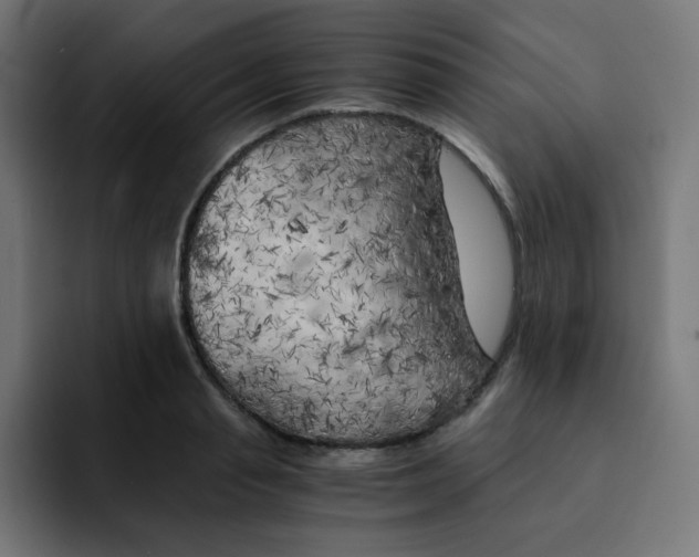 X0000092020845200710041042