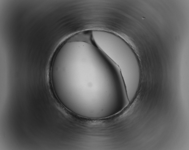 X0000092020846200710041042