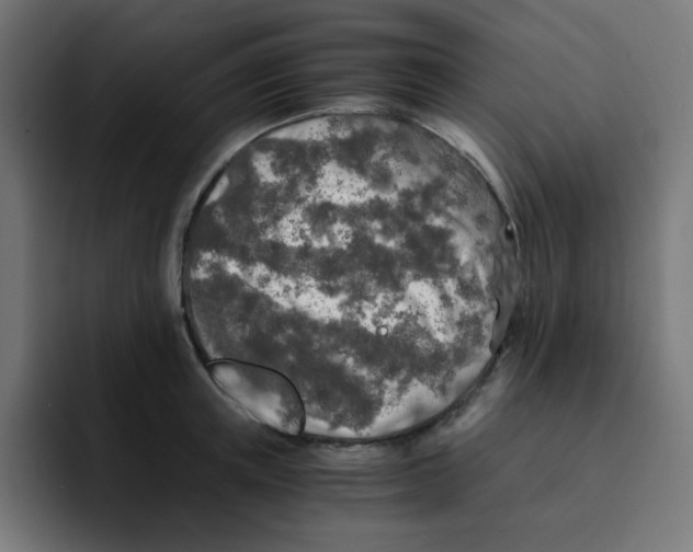 X0000092020851200710041042