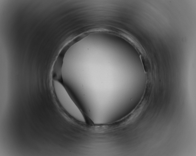 X0000092020858200710041042