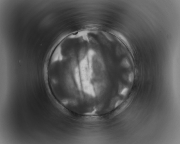 X0000092020859200710041042