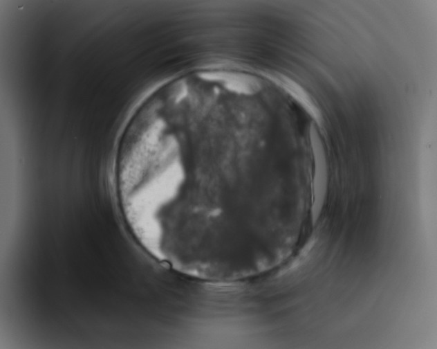 X0000092020863200710041042