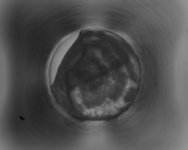 X0000092020864200710041042