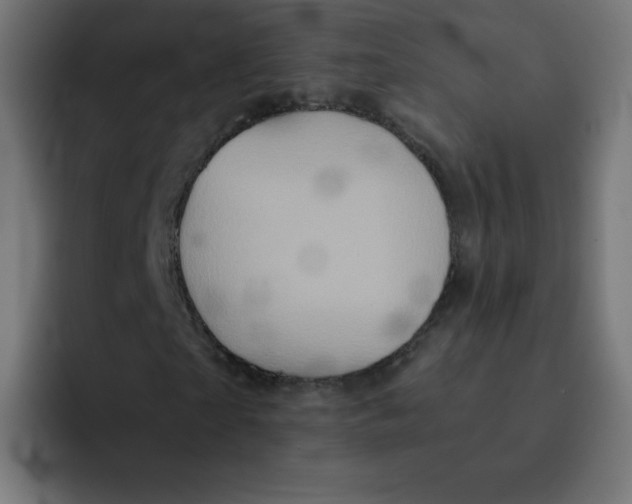 X0000092020865200710041042