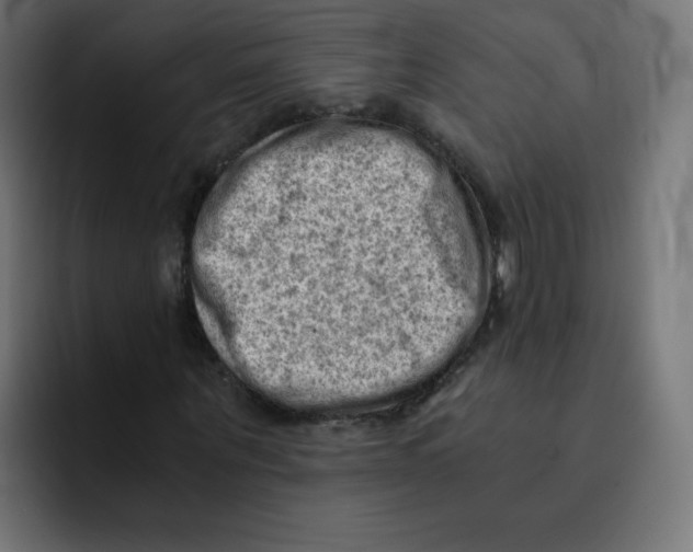 X0000092020867200710041042