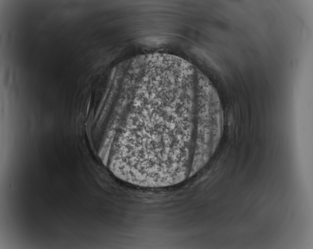 X0000092020868200710041042