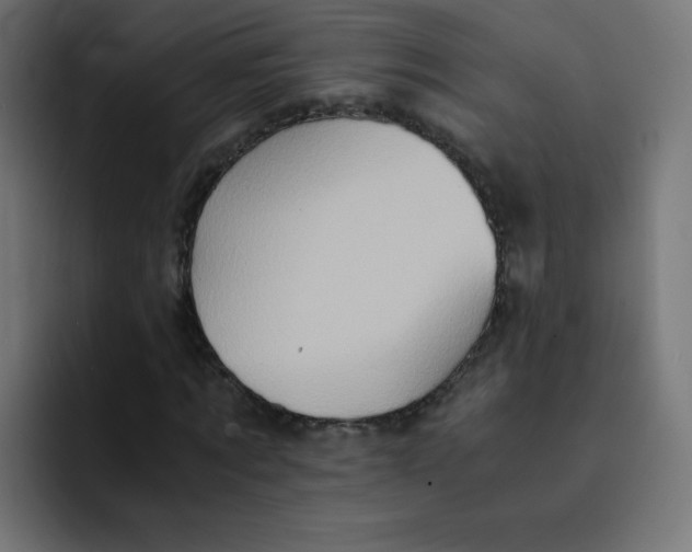 X0000092020869200710041042