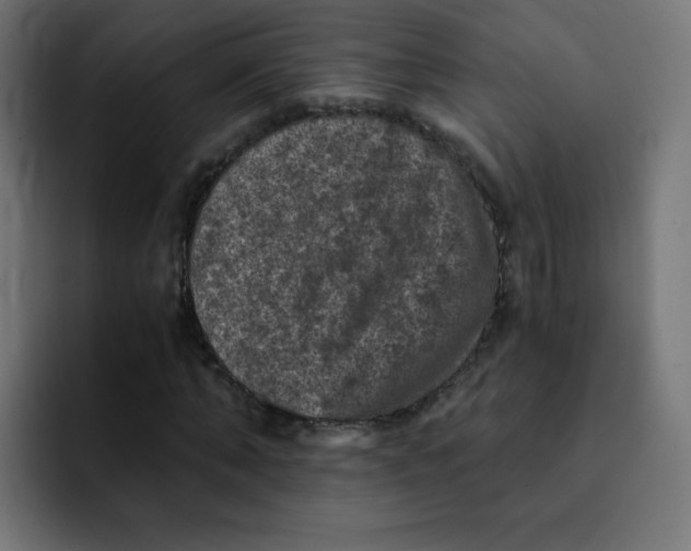 X0000092020870200710041042