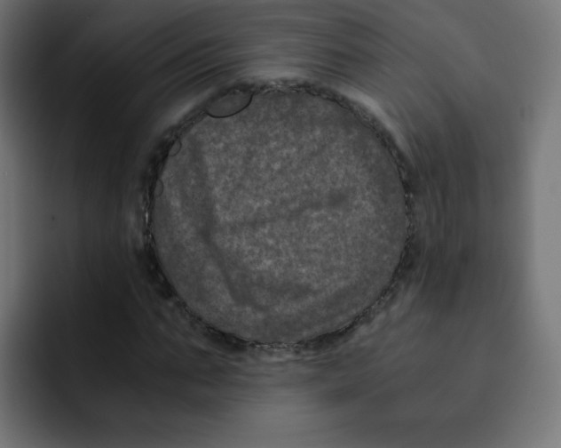 X0000092020871200710041042