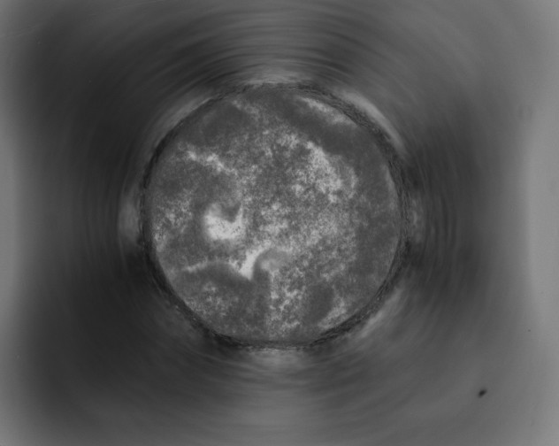 X0000092020874200710041042