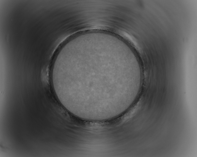 X0000092020875200710041042