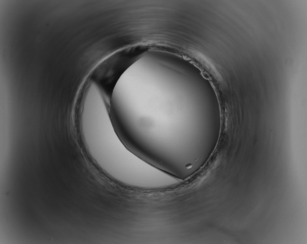 X0000092020876200710041042