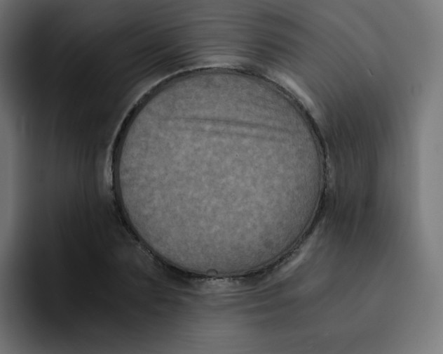 X0000092020883200710041041