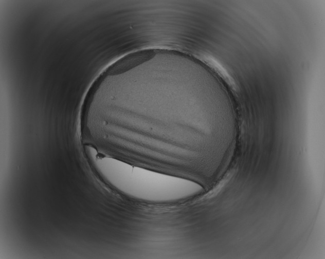 X0000092020884200710041041