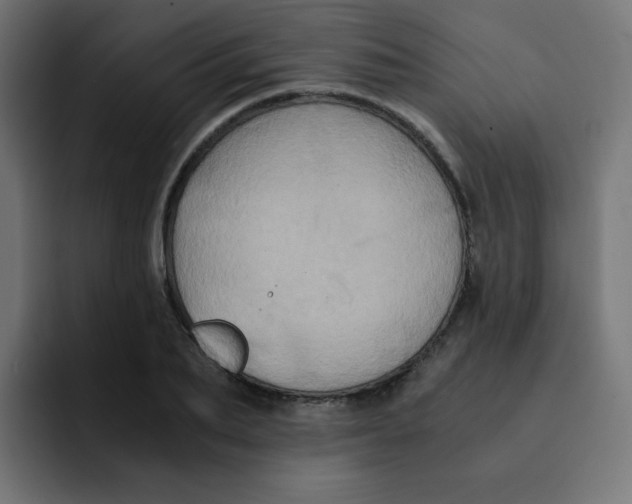 X0000092020887200710041041