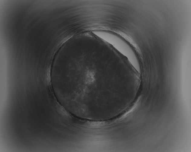 X0000092020889200710041041