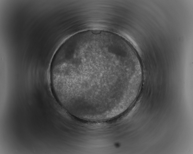 X0000092020891200710041041