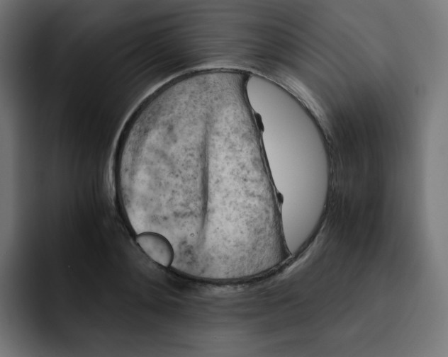 X0000092020892200710041041