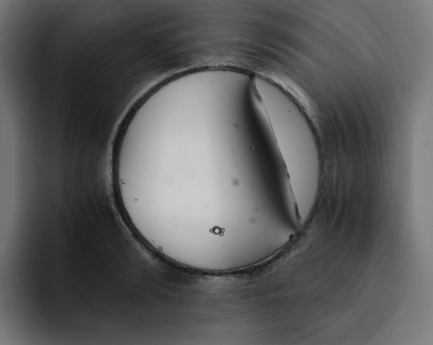 X0000092020894200710041041