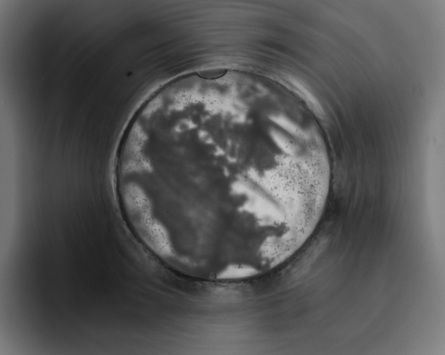 X0000092020899200710041041