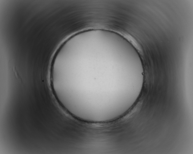 X0000092020904200710041041