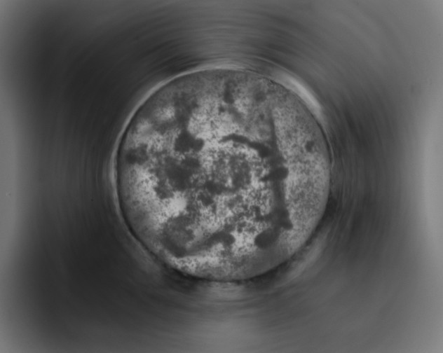 X0000092020907200710041041